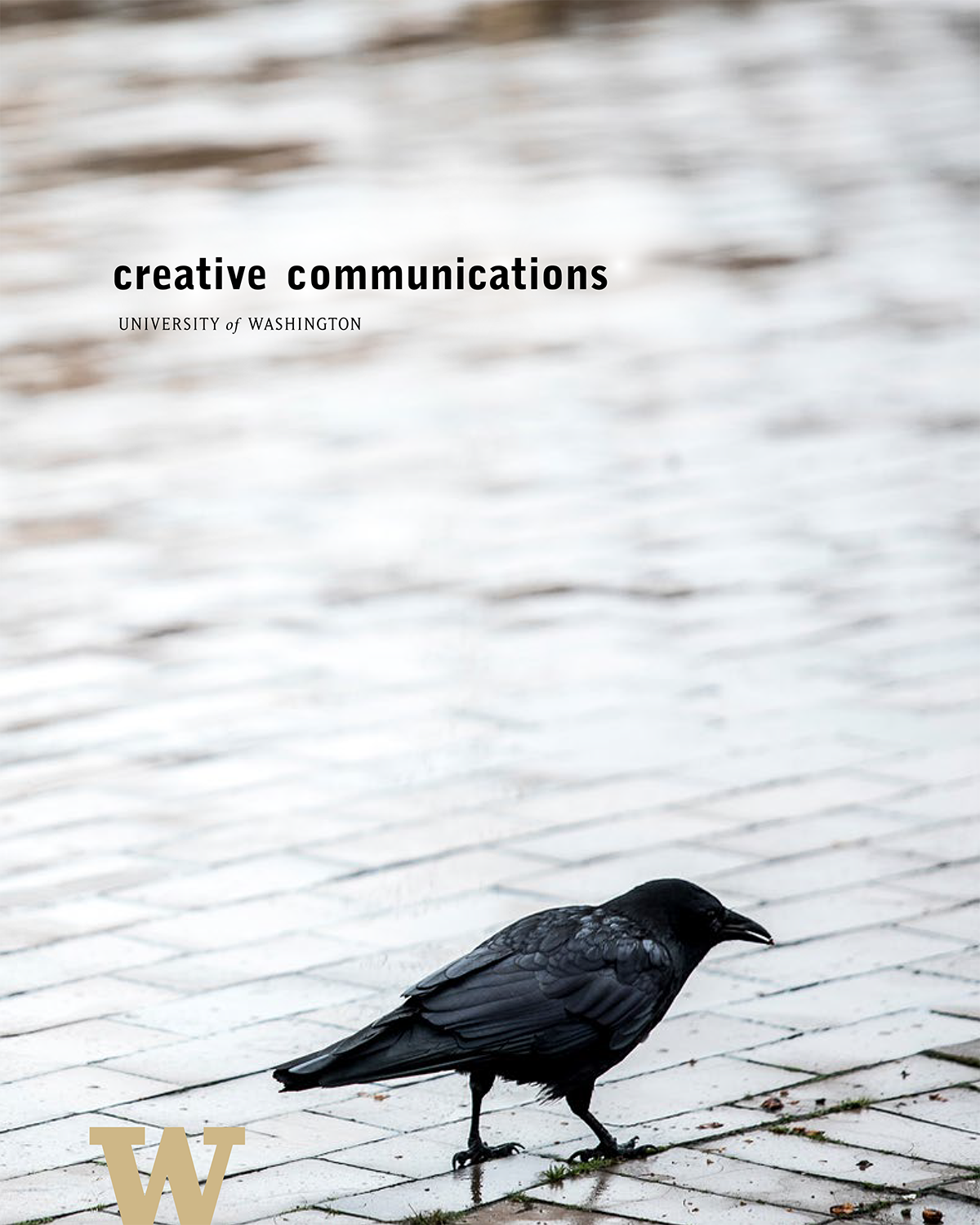 C2 Brochure Page 1